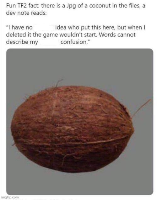praise the coconut | image tagged in funny memes,memes,tf2 | made w/ Imgflip meme maker