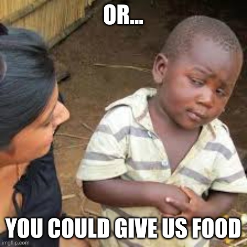 African Boy | OR... YOU COULD GIVE US FOOD | image tagged in african boy | made w/ Imgflip meme maker