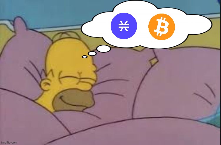 how i sleep homer simpson | image tagged in how i sleep homer simpson,cryptocurrency,crypto,blockchain,btc,bitcoin | made w/ Imgflip meme maker