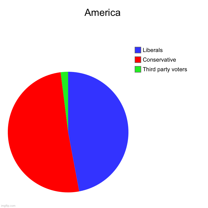 America | Third party voters, Conservative , Liberals | image tagged in charts,pie charts | made w/ Imgflip chart maker