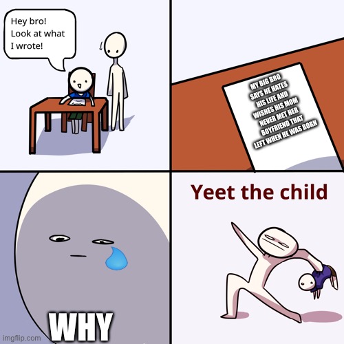 Yeet the child | MY BIG BRO SAYS HE HATES HIS LIFE AND WISHES HIS MOM NEVER MET HER BOYFRIEND THAT LEFT WHEN HE WAS BORN; WHY | image tagged in yeet the child | made w/ Imgflip meme maker