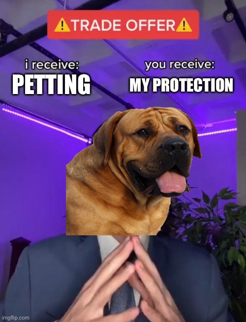 Dog trade offer | MY PROTECTION; PETTING | image tagged in trade offer,dogs | made w/ Imgflip meme maker