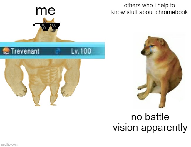 i have one friend on chromebook | me; others who i help to know stuff about chromebook; no battle vision apparently | image tagged in memes,buff doge vs cheems,pokemon | made w/ Imgflip meme maker