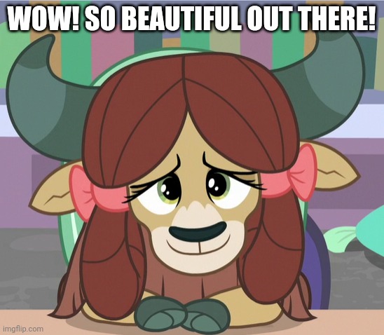 WOW! SO BEAUTIFUL OUT THERE! | made w/ Imgflip meme maker