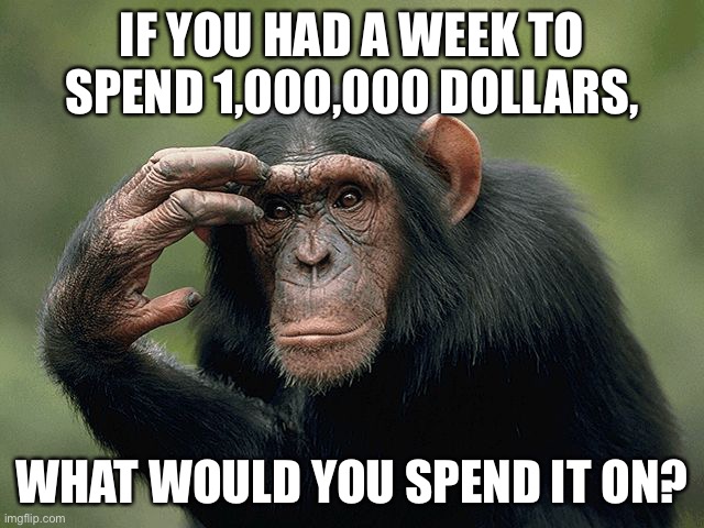 Thinking monkey | IF YOU HAD A WEEK TO SPEND 1,000,000 DOLLARS, WHAT WOULD YOU SPEND IT ON? | image tagged in thinking monkey | made w/ Imgflip meme maker