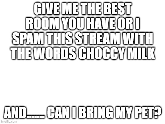 Blank White Template | GIVE ME THE BEST ROOM YOU HAVE OR I SPAM THIS STREAM WITH THE WORDS CHOCCY MILK; AND....... CAN I BRING MY PET? | image tagged in blank white template | made w/ Imgflip meme maker