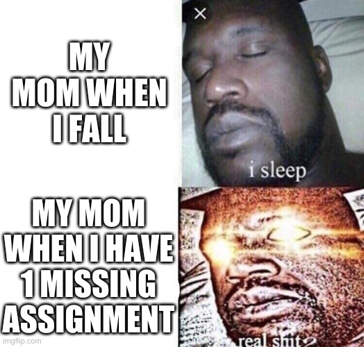 i sleep real shit | MY MOM WHEN I FALL MY MOM WHEN I HAVE 1 MISSING ASSIGNMENT | image tagged in i sleep real shit | made w/ Imgflip meme maker