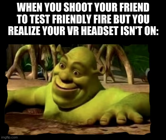 WHEN YOU SHOOT YOUR FRIEND TO TEST FRIENDLY FIRE BUT YOU REALIZE YOUR VR HEADSET ISN'T ON: | image tagged in shrek,vr | made w/ Imgflip meme maker