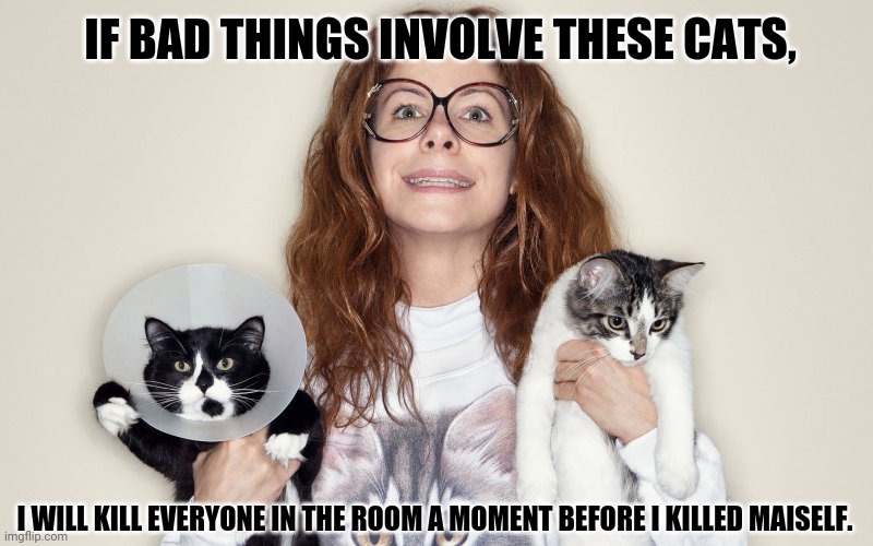 Crazy Cat Lady | IF BAD THINGS INVOLVE THESE CATS, I WILL KILL EVERYONE IN THE ROOM A MOMENT BEFORE I KILLED MAISELF. | image tagged in memes,crazy cat lady,grumpy cat | made w/ Imgflip meme maker
