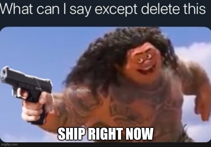 What can I say except delete this | SHIP RIGHT NOW | image tagged in what can i say except delete this | made w/ Imgflip meme maker