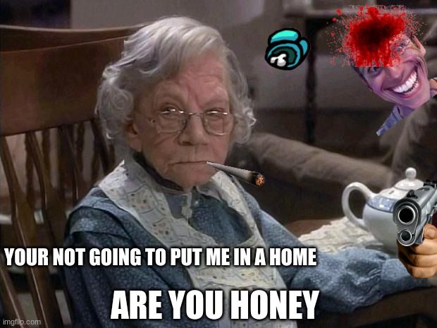  ARE YOU HONEY; YOUR NOT GOING TO PUT ME IN A HOME | image tagged in angry grandma | made w/ Imgflip meme maker
