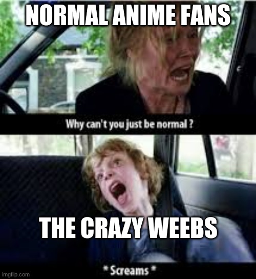 Why cant you just be normal? | NORMAL ANIME FANS; THE CRAZY WEEBS | image tagged in why cant you just be normal | made w/ Imgflip meme maker