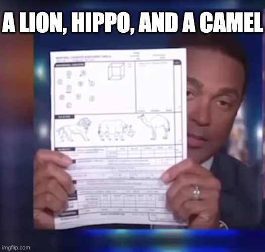 A LION, HIPPO, AND A CAMEL | made w/ Imgflip meme maker
