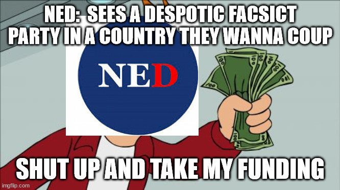 Y'all should lookinto the sins of the National Endowment for Democracy | NED:  SEES A DESPOTIC FACSICT PARTY IN A COUNTRY THEY WANNA COUP; SHUT UP AND TAKE MY FUNDING | image tagged in memes,shut up and take my money fry | made w/ Imgflip meme maker