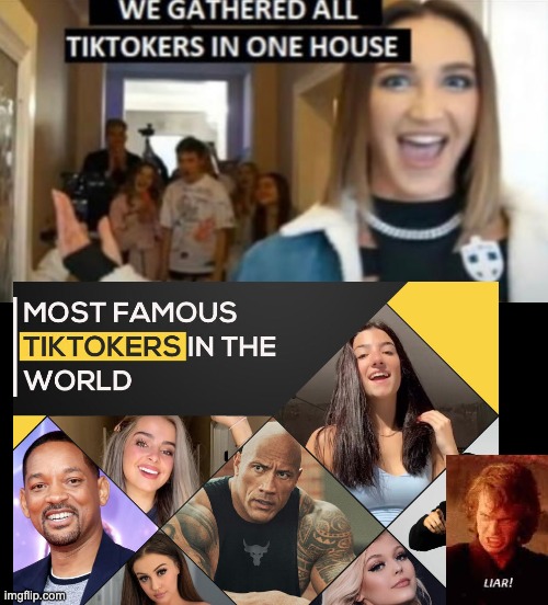 image tagged in we gathered all tiktokers in one house,tiktok,liar | made w/ Imgflip meme maker