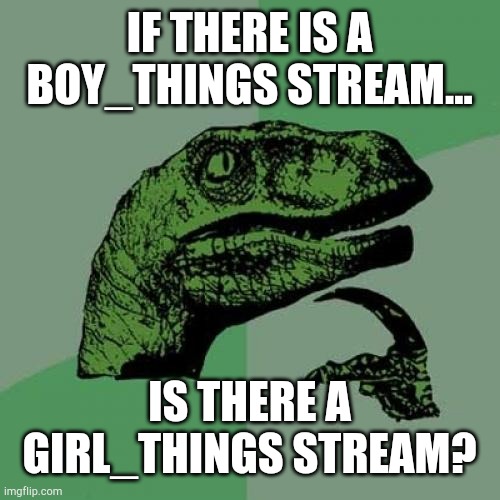 Philosoraptor | IF THERE IS A BOY_THINGS STREAM... IS THERE A GIRL_THINGS STREAM? | image tagged in memes,philosoraptor | made w/ Imgflip meme maker