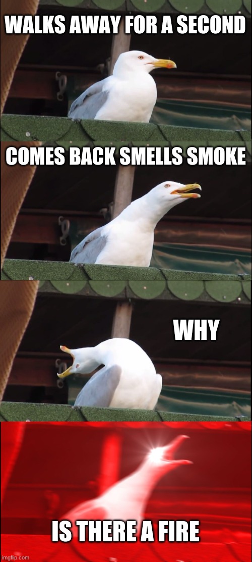 Inhaling Seagull Meme | WALKS AWAY FOR A SECOND; COMES BACK SMELLS SMOKE; WHY; IS THERE A FIRE | image tagged in memes,inhaling seagull | made w/ Imgflip meme maker