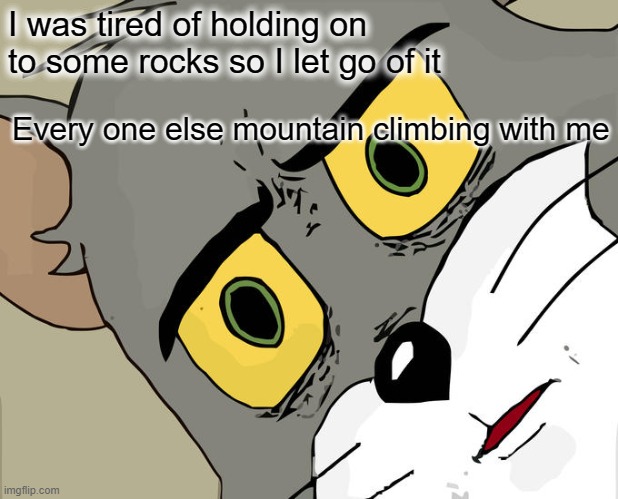 Unsettled Tom | I was tired of holding on to some rocks so I let go of it; Every one else mountain climbing with me | image tagged in memes,unsettled tom | made w/ Imgflip meme maker