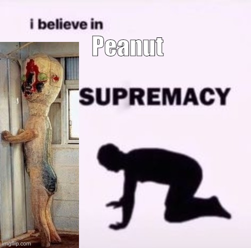 I believe in supremacy | Peanut | image tagged in i believe in supremacy | made w/ Imgflip meme maker