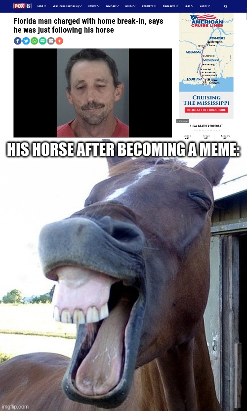 HIS HORSE AFTER BECOMING A MEME: | image tagged in funny horse face | made w/ Imgflip meme maker