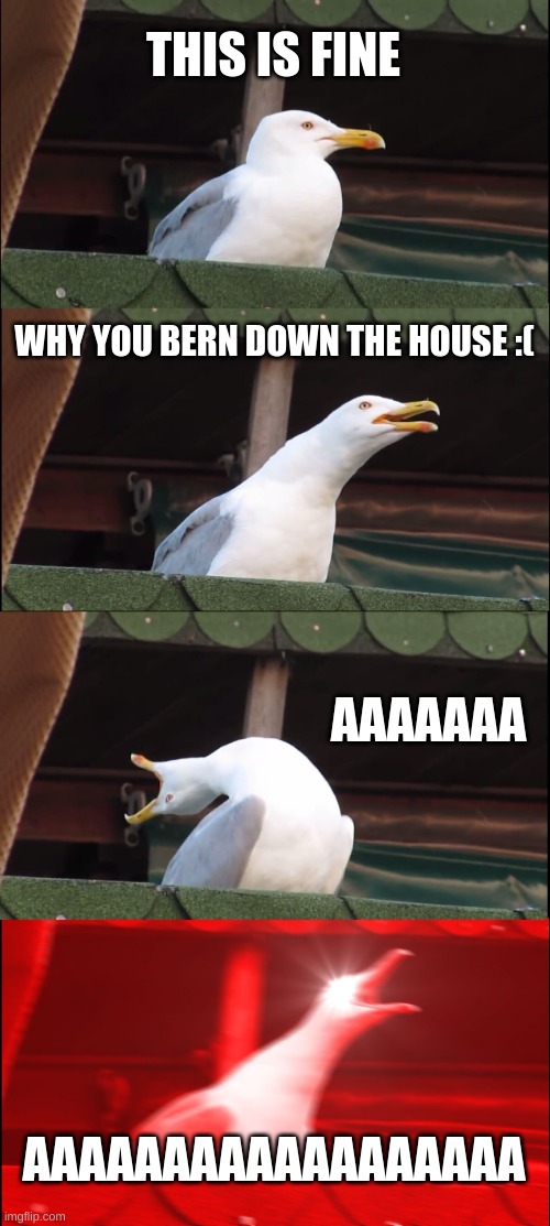 Inhaling Seagull | THIS IS FINE; WHY YOU BERN DOWN THE HOUSE :(; AAAAAAA; AAAAAAAAAAAAAAAAAA | image tagged in memes,inhaling seagull | made w/ Imgflip meme maker