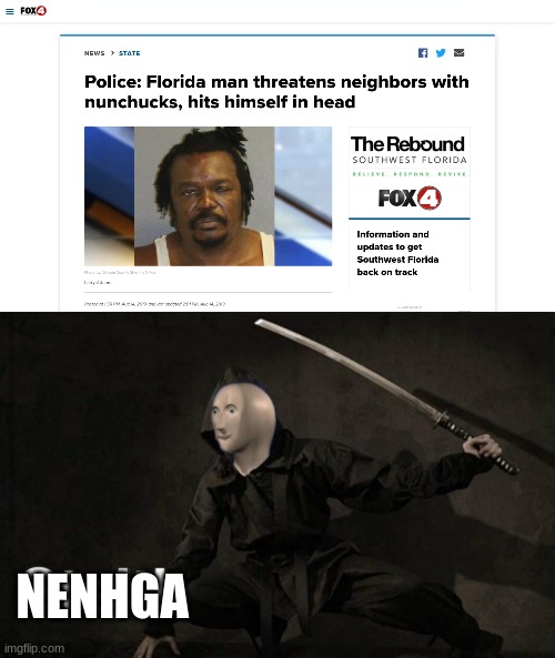 NENHGA | image tagged in stelth | made w/ Imgflip meme maker