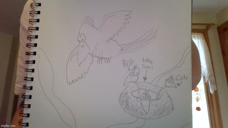 A bunch of Birds in a nest that I drew (my friend came up with the names) | image tagged in drawing | made w/ Imgflip meme maker