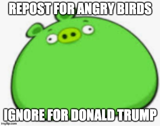 can I have mod back | made w/ Imgflip meme maker