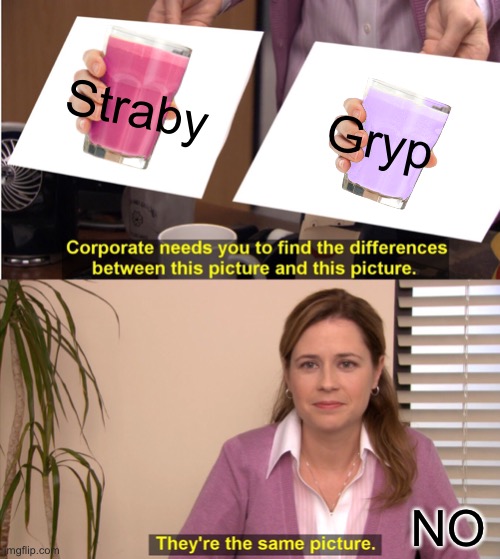 Gryp and Straby | Straby; Gryp; NO | image tagged in memes,they're the same picture | made w/ Imgflip meme maker