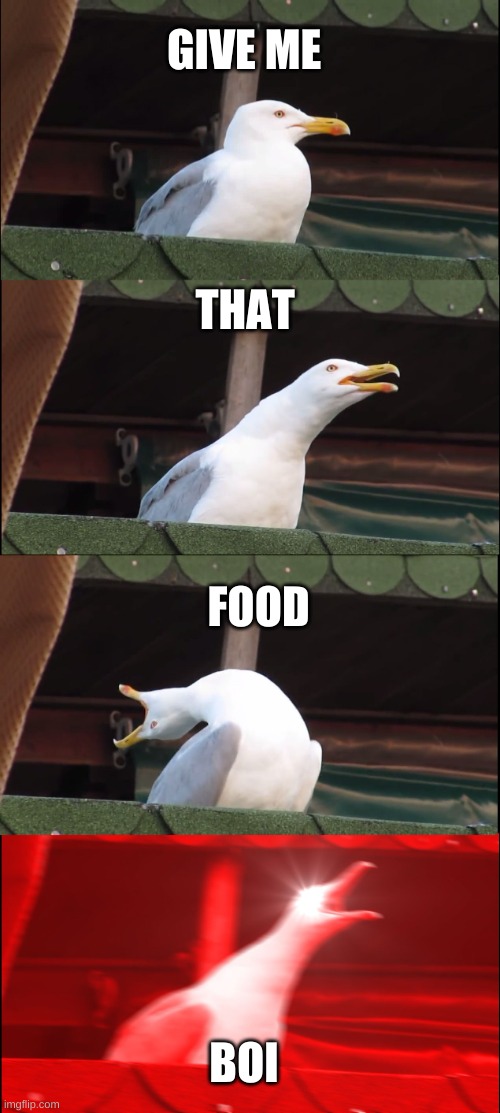 Inhaling Seagull Meme | GIVE ME; THAT; FOOD; BOI | image tagged in memes,inhaling seagull | made w/ Imgflip meme maker