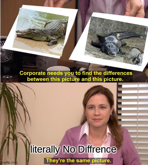 Guess which one is a crocodile and which one is a alligator | literally No Diffrence | image tagged in memes,they're the same picture | made w/ Imgflip meme maker