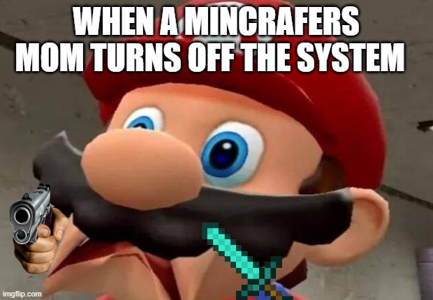 Mincrafter be like | WHEN A MINCRAFERS MOM TURNS OFF THE SYSTEM | image tagged in mario wtf | made w/ Imgflip meme maker