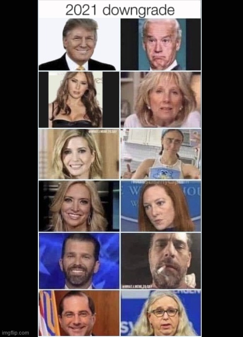 2021 downgrade | image tagged in political humor | made w/ Imgflip meme maker