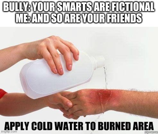 Damn | BULLY: YOUR SMARTS ARE FICTIONAL
ME: AND SO ARE YOUR FRIENDS | image tagged in apply cold water to burned area,funny,memes,oof size large,triangles are sharp | made w/ Imgflip meme maker