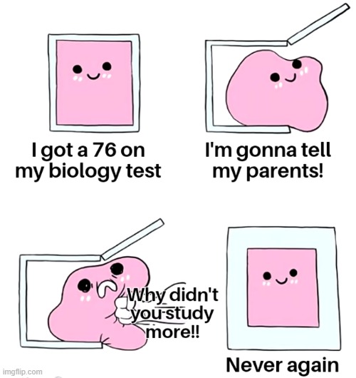 No study | image tagged in memes,funny,school | made w/ Imgflip meme maker
