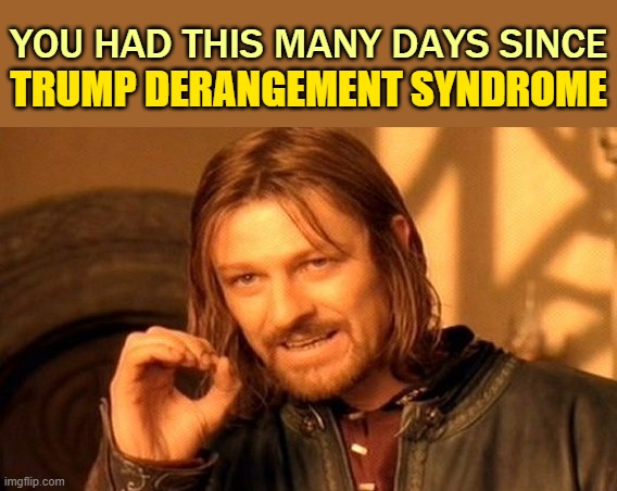 One Does Not Simply Meme | YOU HAD THIS MANY DAYS SINCE TRUMP DERANGEMENT SYNDROME | image tagged in memes,one does not simply | made w/ Imgflip meme maker