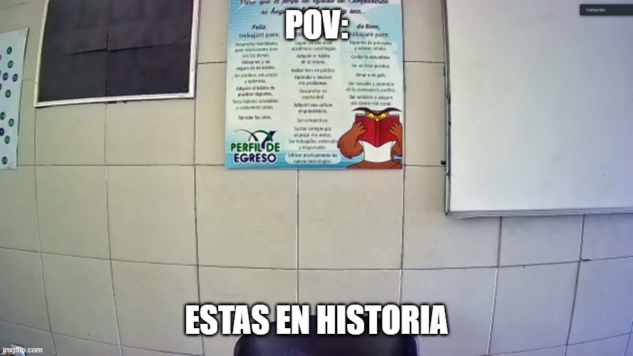 HISTORIA | POV:; ESTAS EN HISTORIA | image tagged in funny animals | made w/ Imgflip meme maker