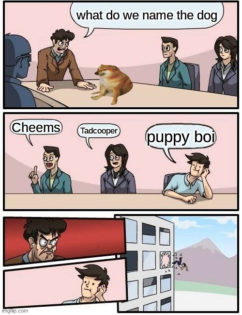 Dog name | what do we name the dog; Cheems; Tadcooper; puppy boi | image tagged in memes,boardroom meeting suggestion,doge,cheems | made w/ Imgflip meme maker
