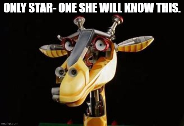 ONLY STAR- ONE SHE WILL KNOW THIS. | made w/ Imgflip meme maker