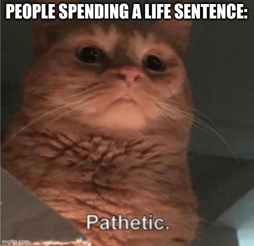 Pathetic Cat | PEOPLE SPENDING A LIFE SENTENCE: | image tagged in pathetic cat | made w/ Imgflip meme maker