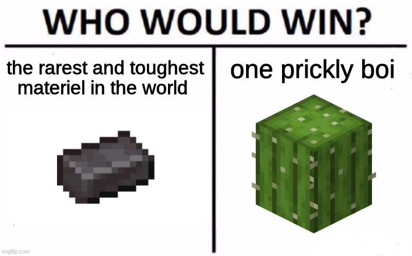 Who Would Win? Meme | the rarest and toughest materiel in the world; one prickly boi | image tagged in memes,who would win,minecraft,netherite,cactus | made w/ Imgflip meme maker