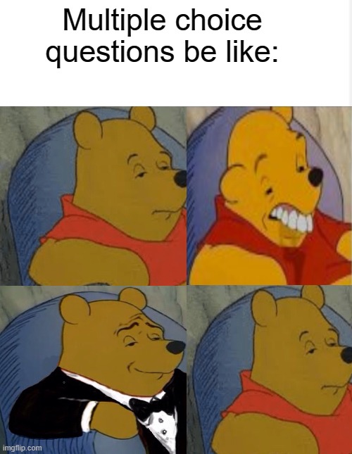 There is always that one dumb one | Multiple choice questions be like: | image tagged in tuxedo winnie the pooh,overbite winnie the pooh,regular winnie the pooh,fun,meme,multiple choice question | made w/ Imgflip meme maker
