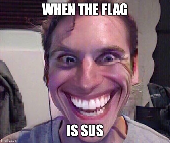 When The Imposter Is Sus | WHEN THE FLAG IS SUS | image tagged in when the imposter is sus | made w/ Imgflip meme maker