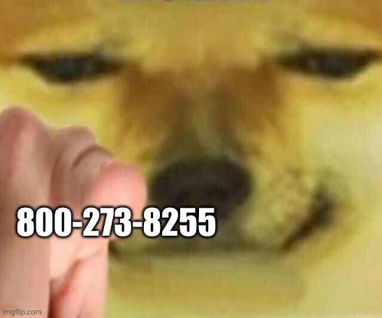 Cheems Pointing At You | 800-273-8255 | image tagged in cheems pointing at you | made w/ Imgflip meme maker