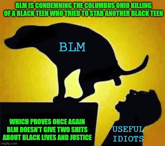 There are those who still think BLM is all about black lives and justice. They are the useful idiots. | BLM IS CONDEMNING THE COLUMBUS OHIO KILLING OF A BLACK TEEN WHO TRIED TO STAB ANOTHER BLACK TEEN; BLM; WHICH PROVES ONCE AGAIN BLM DOESN'T GIVE TWO SHITS ABOUT BLACK LIVES AND JUSTICE; USEFUL IDIOTS | image tagged in dog pooping in mouth,blm,black lives matter,useful idiots | made w/ Imgflip meme maker