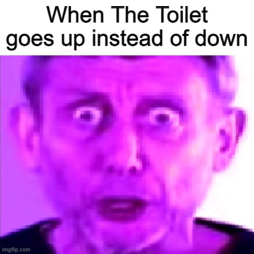W H A T | When The Toilet goes up instead of down | image tagged in funny | made w/ Imgflip meme maker