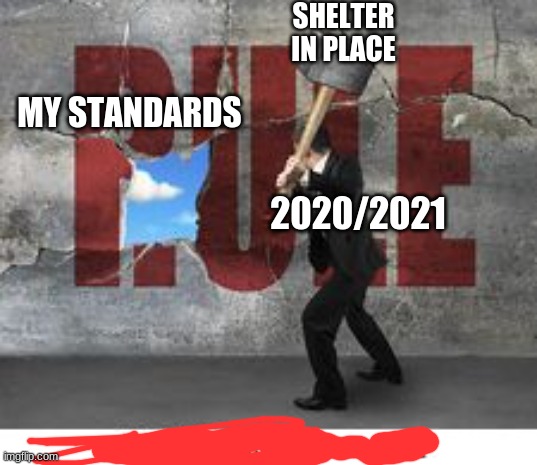 guy hitting a wall | SHELTER IN PLACE; MY STANDARDS; 2020/2021 | image tagged in guy hitting a wall | made w/ Imgflip meme maker