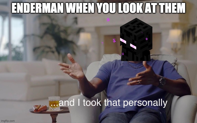 minecraft logic because funni | ENDERMAN WHEN YOU LOOK AT THEM | image tagged in and i took that personally,memes,funny | made w/ Imgflip meme maker