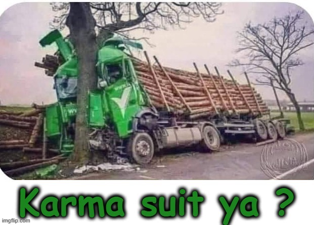 Karma suit ya ? | image tagged in when the trees start speaking | made w/ Imgflip meme maker
