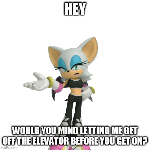 It's kind of like holding the door for someone behind you | HEY; WOULD YOU MIND LETTING ME GET OFF THE ELEVATOR BEFORE YOU GET ON? | image tagged in annoyed rouge the bat | made w/ Imgflip meme maker